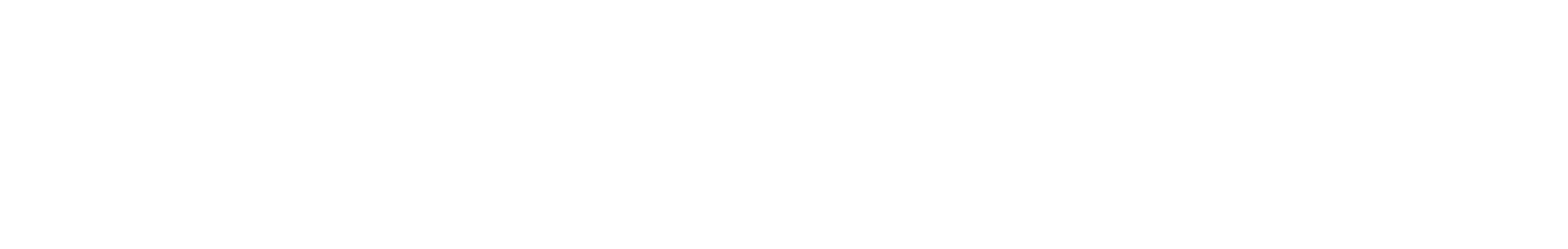 Reisewitz_Logo_2022_weiß